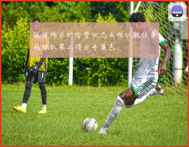 张佳玮分析哈登状态或难以胜任争冠球队第二得分手角色