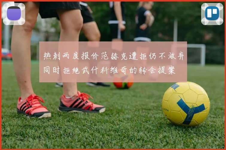 热刺两度报价范赫克遭拒仍不放弃同时拒绝武什科维奇的转会提案
